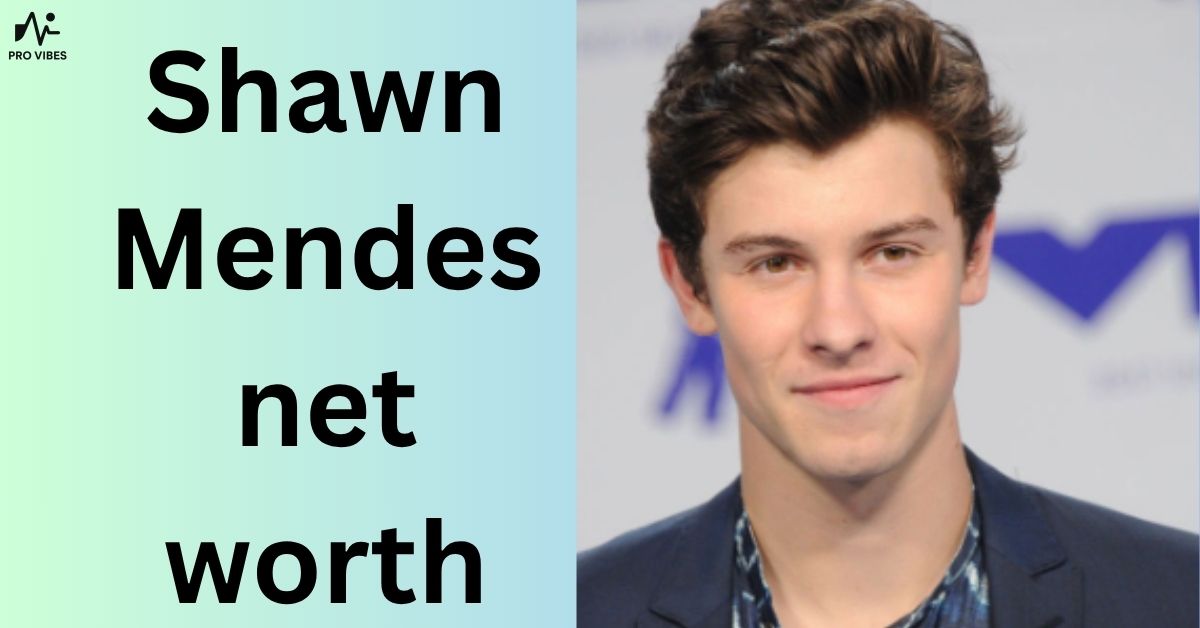 Shawn Mendes net worth